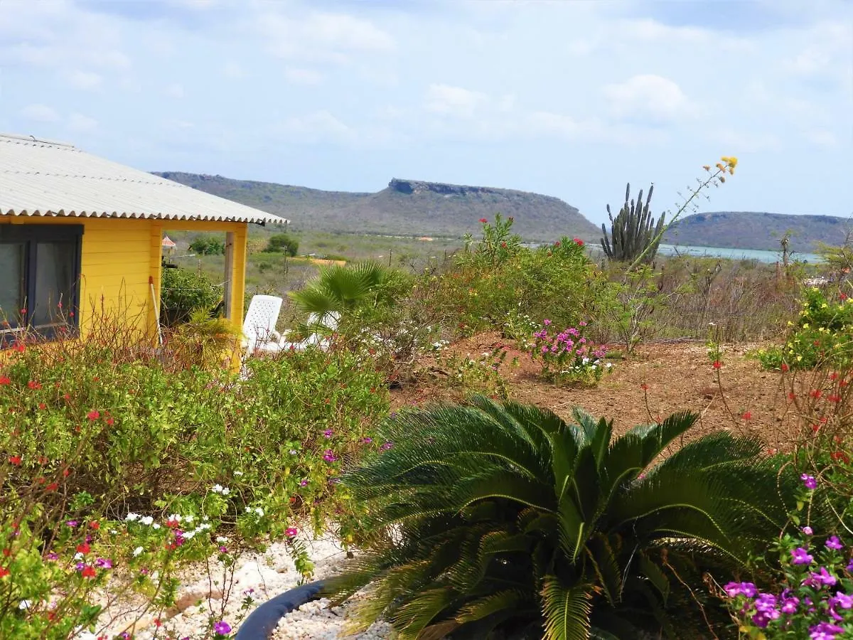 Chalet Amazing View Bungalows Curacao Villa Barber Curacao